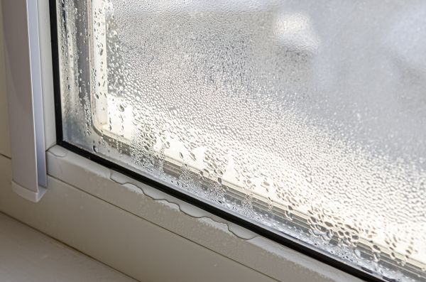 Cost of Leaky Window Repair in Boise